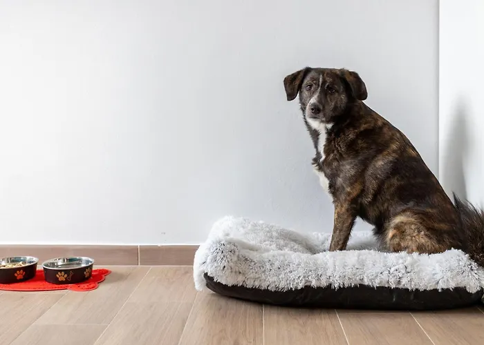 Arya's Corner By The - Parcheggio - Vista * Arona